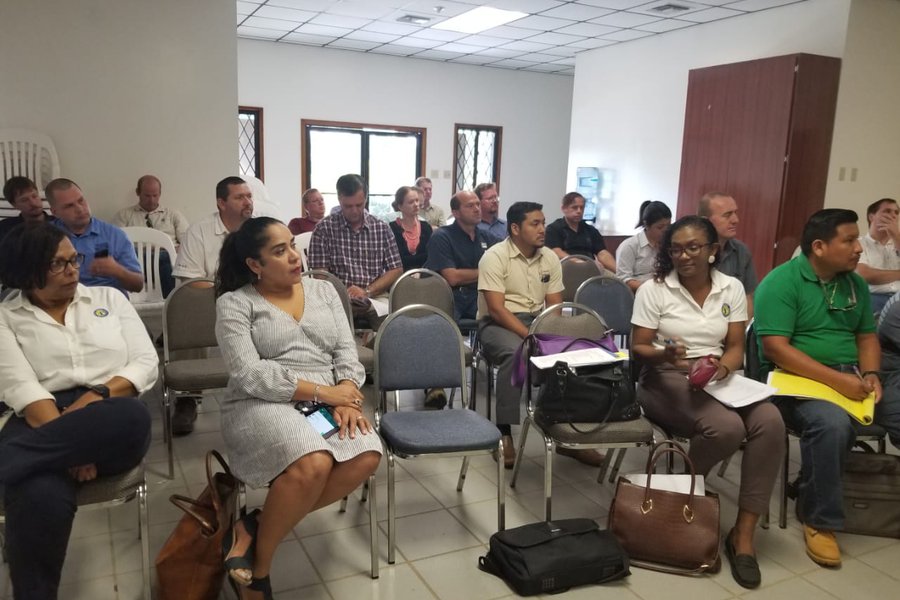 Stakeholder consultation session 4