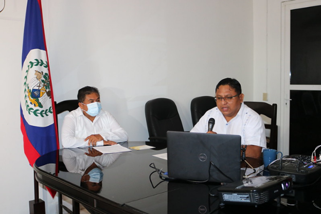 Virtual launch of the employment service system