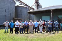 revival of the rice production